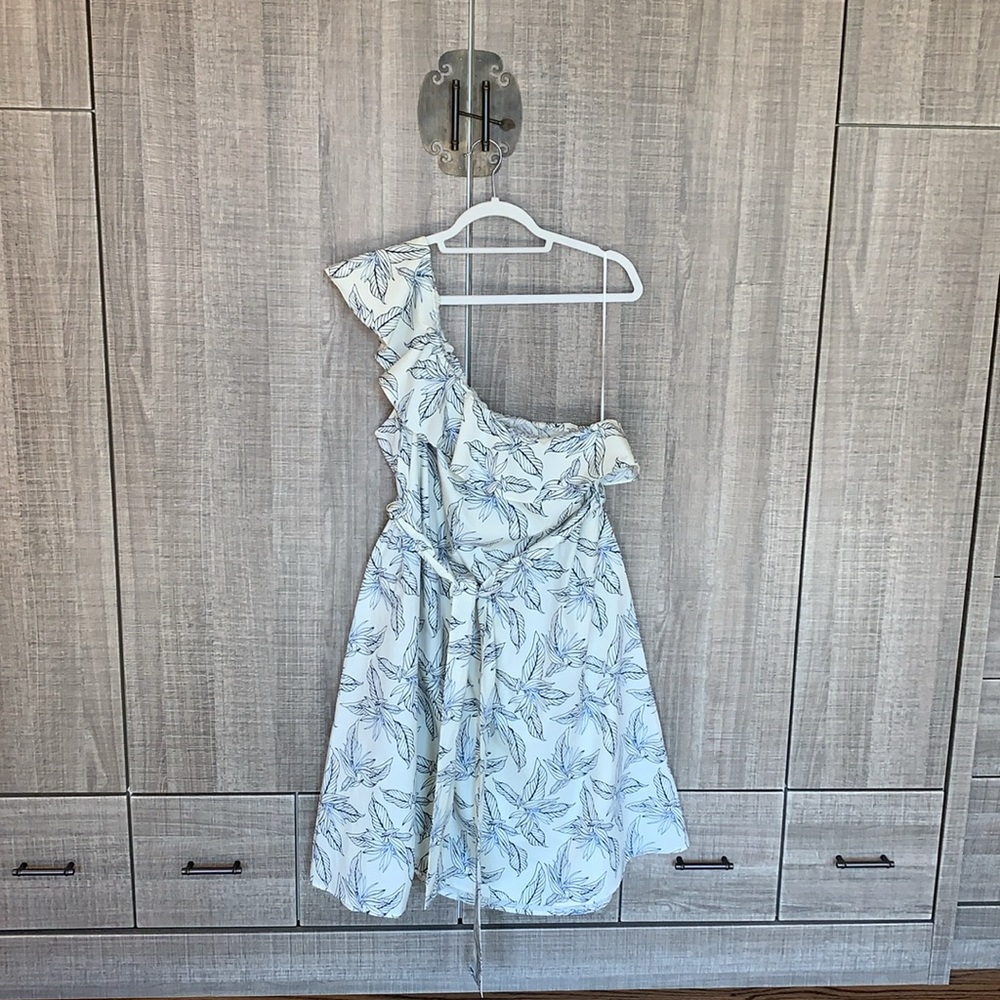 Banana Republic One Shoulder Ruffle Dress